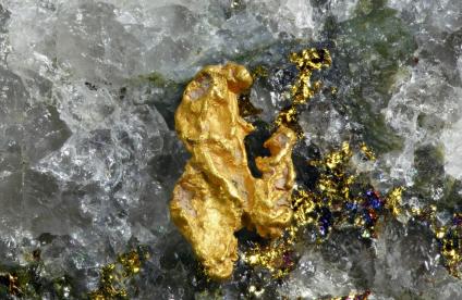 Pépite d'or et quartz (Lapland, Finlande, 2018) © AdobeStock - Henri Koskinen