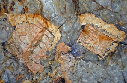 Pegmatites à métaux rares des monts d'Ambazac (Haute-Vienne)