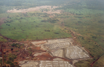 Biolixiviation pour la récupération du cobalt
