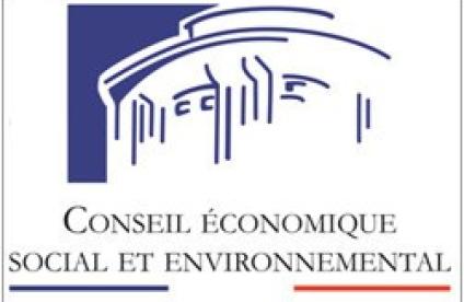 Le Conseil économique social et environnemental publie son rapport "la dépendance aux métaux stratégiques : quelles solutions pour l’économie ?"
