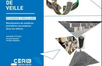 Page de couverture rapport de veille