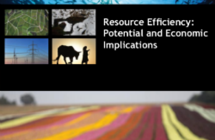 UNEP International Resource Panel