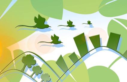 évaluation environnementale plan programme