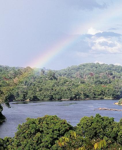 Fleuve Oyapok, près du village de Camopi, en Guyane