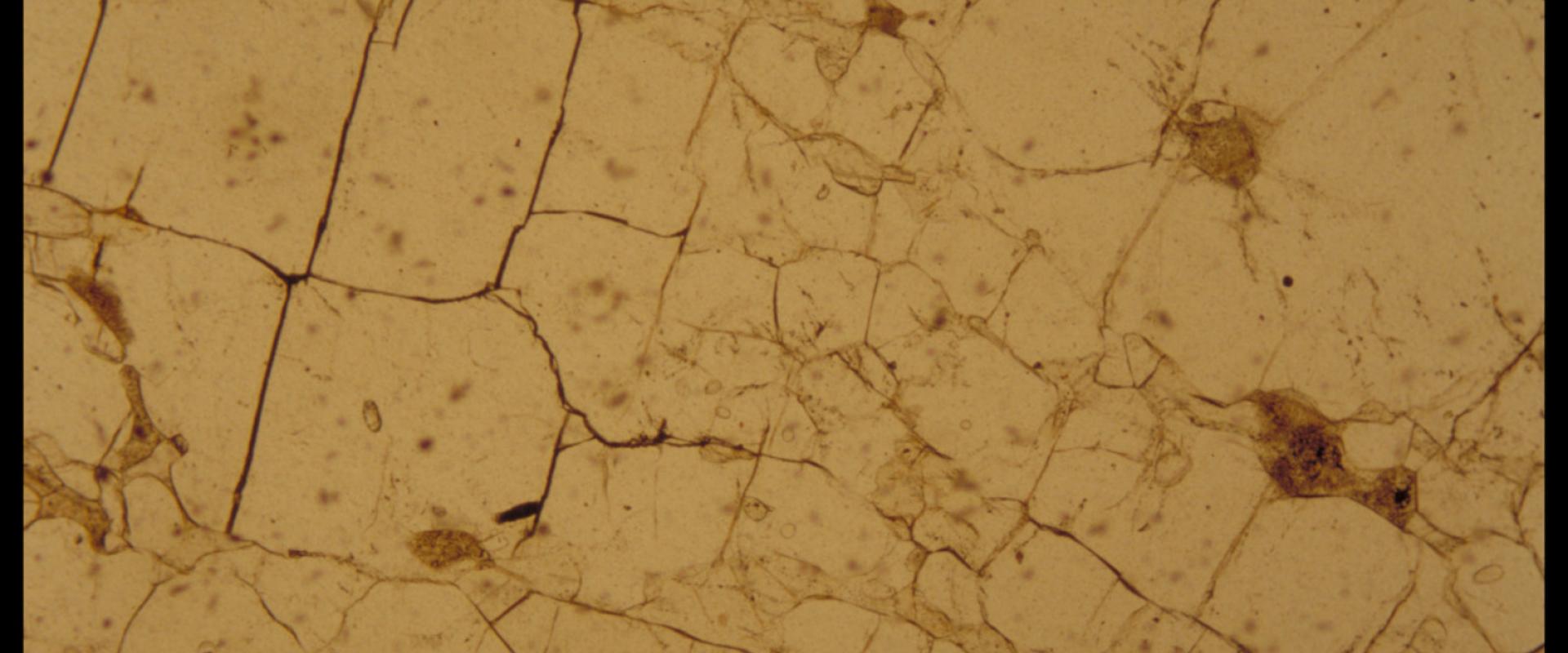 Lame mince d'apatite © BRGM - Elisabeth Le Goff