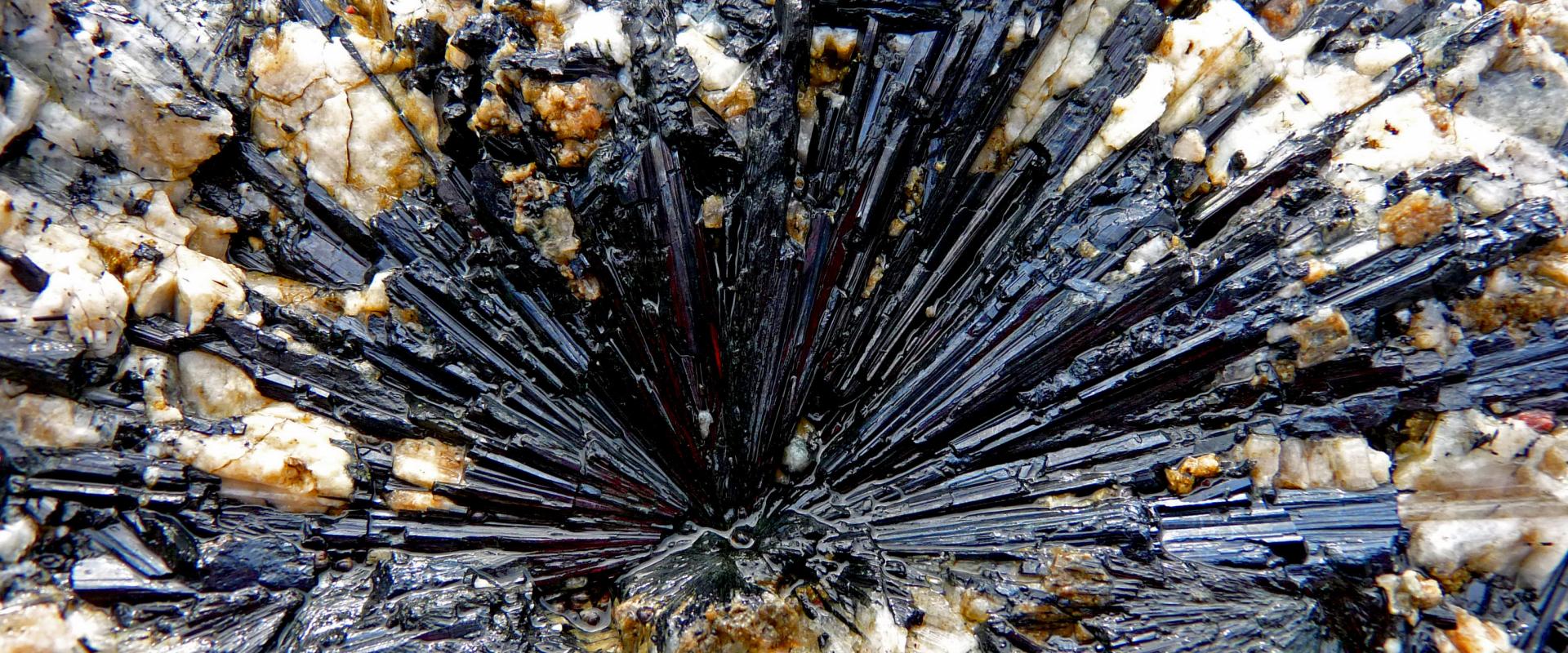 Arfvedsonite étoilée (amphibole sodique) du complexe alcalin à terres rares de Kringlerne au Groenland