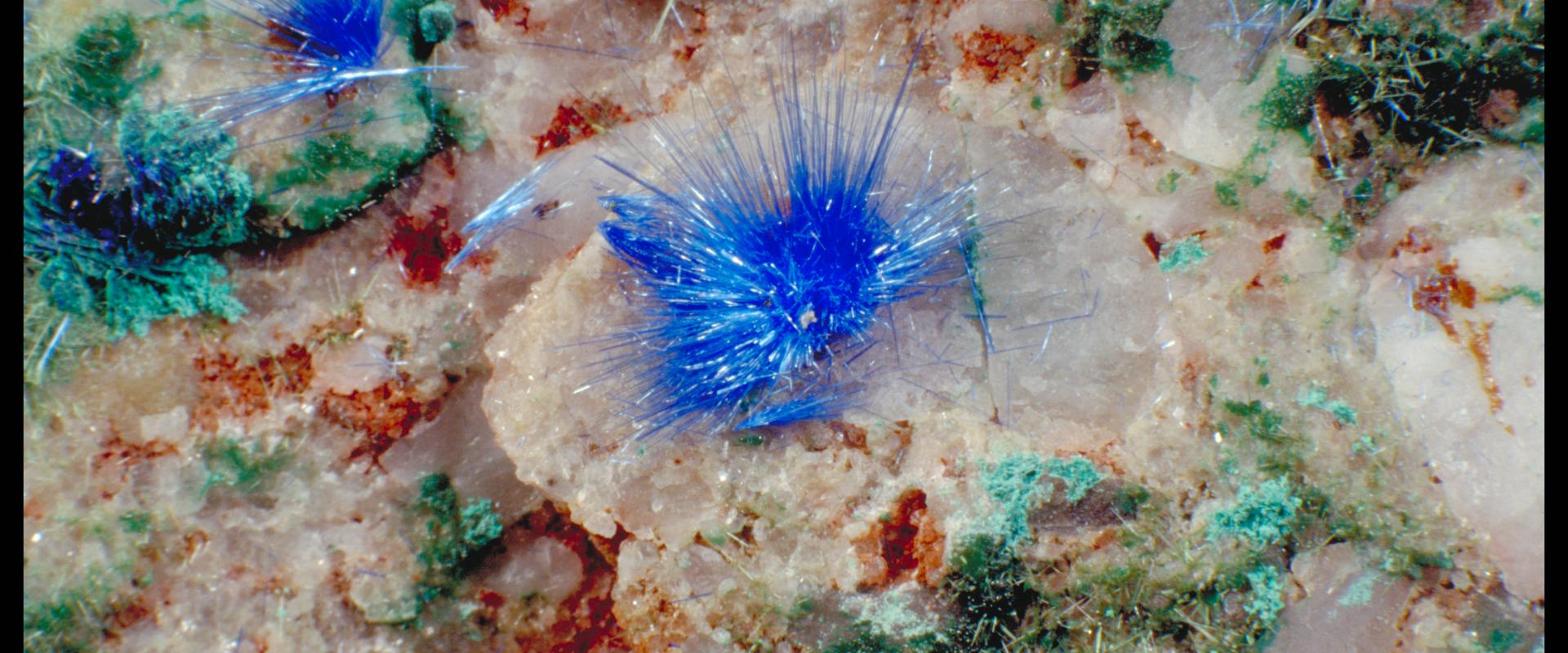 Echantillon de cyanotrichite