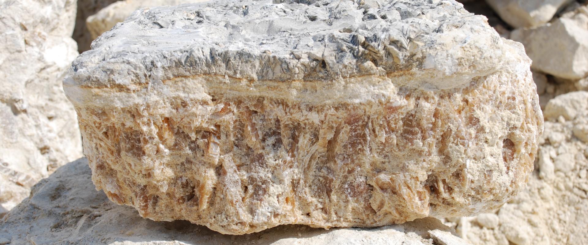 Carrière de gypse à Cormeilles en Parisis