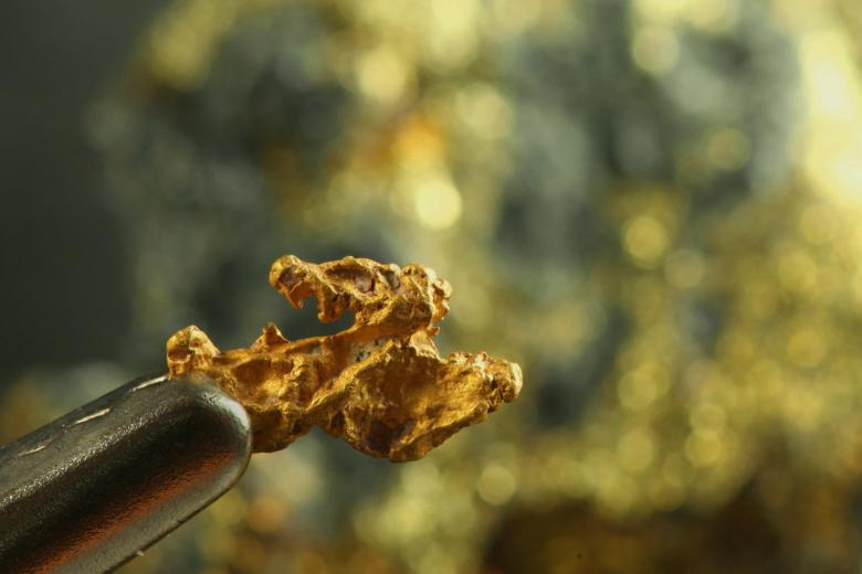 Pépite d'or en provenance du Parc national de Lemmenjoki, en Laponie finlandaise - © BRGM Pépite d'or