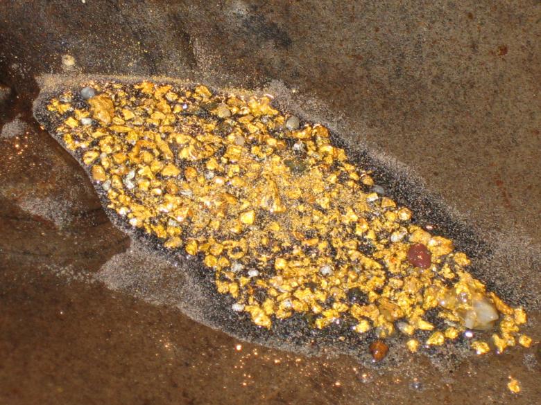 Un concentré de pépites d'or (Guyane, 2005). - © BRGM - Jean-François Tomassin L'extraction de l'or en Guyane