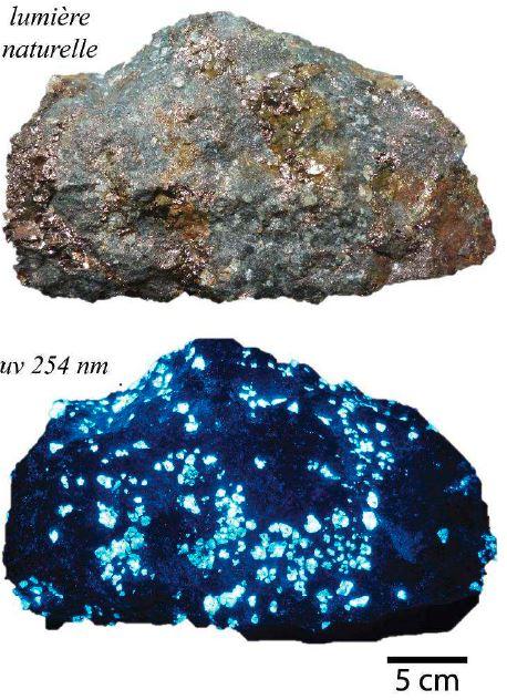 Minerai très riche en tungstène (scheelite), Salau