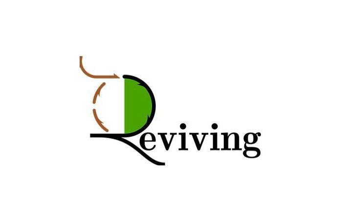Projet REVIVING