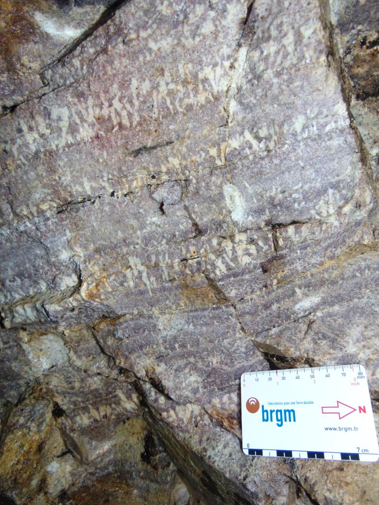 Pegmatite lithinifère de Chèdeville