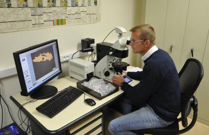 Caractérisation minéralogique de l'or